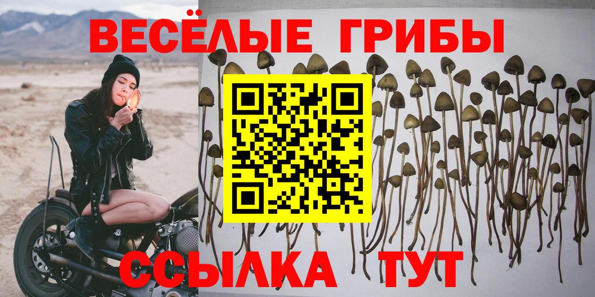 Галлюциногенные грибы Psilocybe  Псилоцибиновые грибы Psilocybe  Тимашёвск  Вход с VPN 